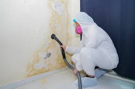 Professional Mold Removal in Huntertown, IN